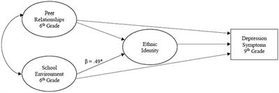 Differential impact of the school context on ethnic and racial identity and depression for monoracial and multiracial early adolescents